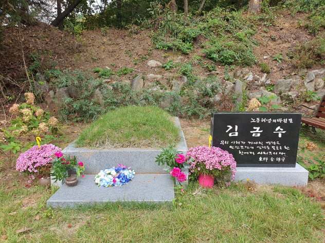 [크기변환]김금수 (1).jpg