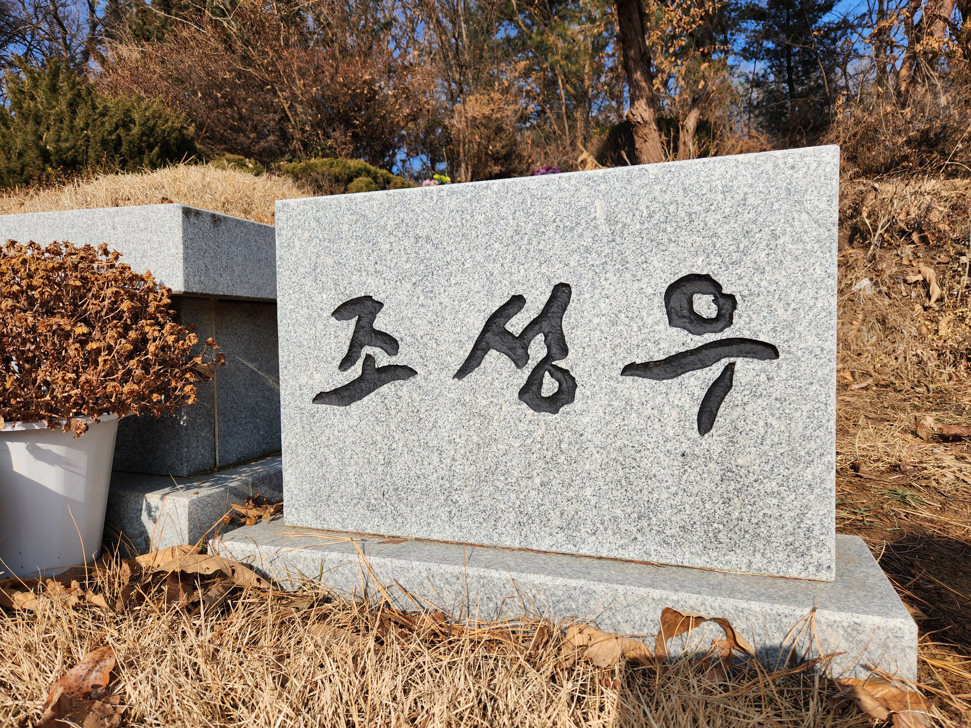 20260117_조성우 (3).jpg