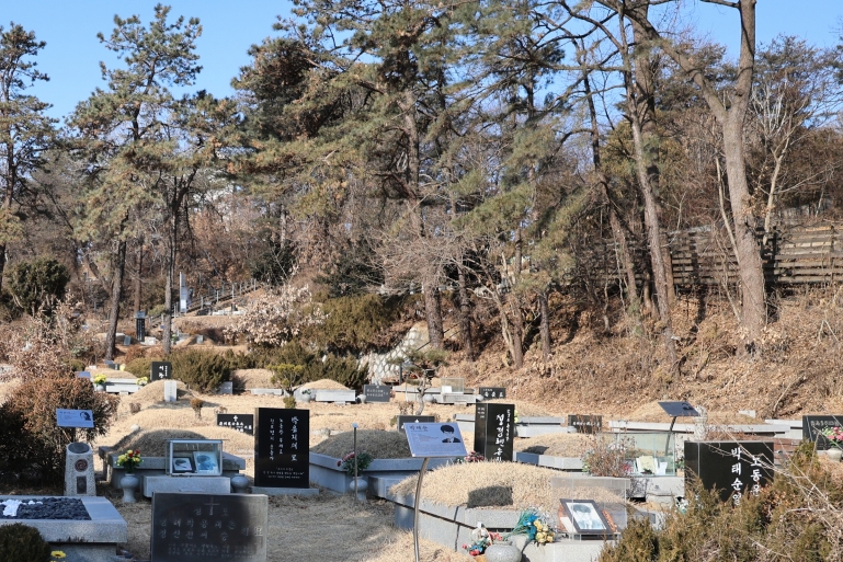 [크기변환]20260208모란봉사사진 (5).jpg