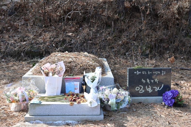 [크기변환]20260208모란봉사사진 (22).jpg