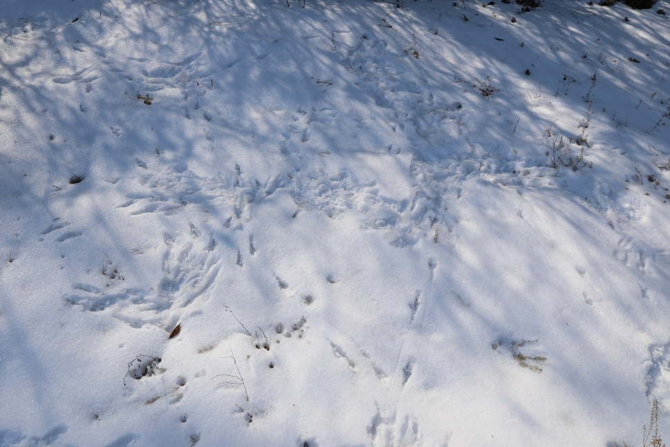 [크기변환]20260208모란봉사사진 (40).jpg