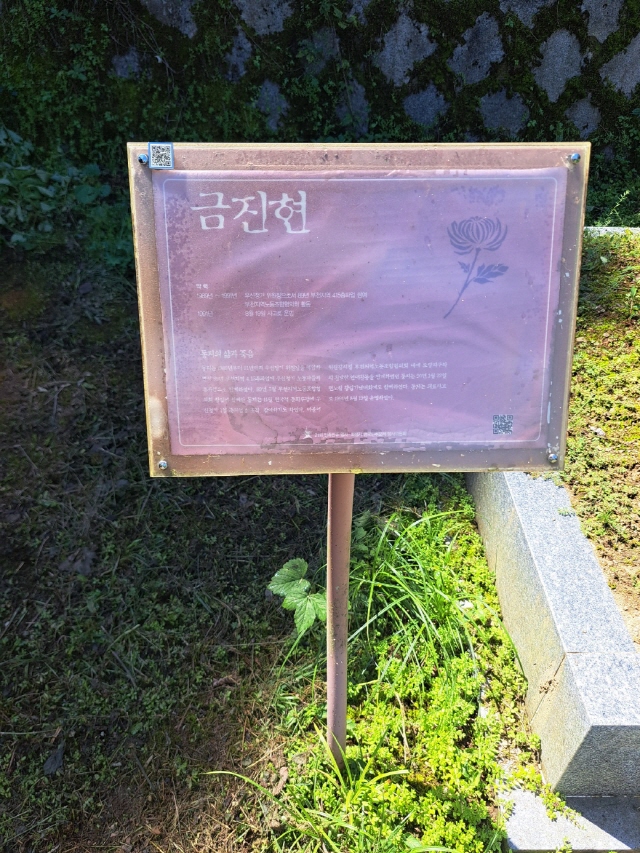 [크기변환]20250810모란봉사추가 (14).jpg