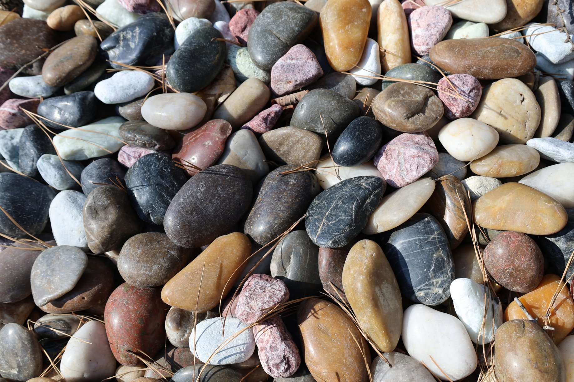 [크기변환]20260308모란봉사사진 (44).jpg