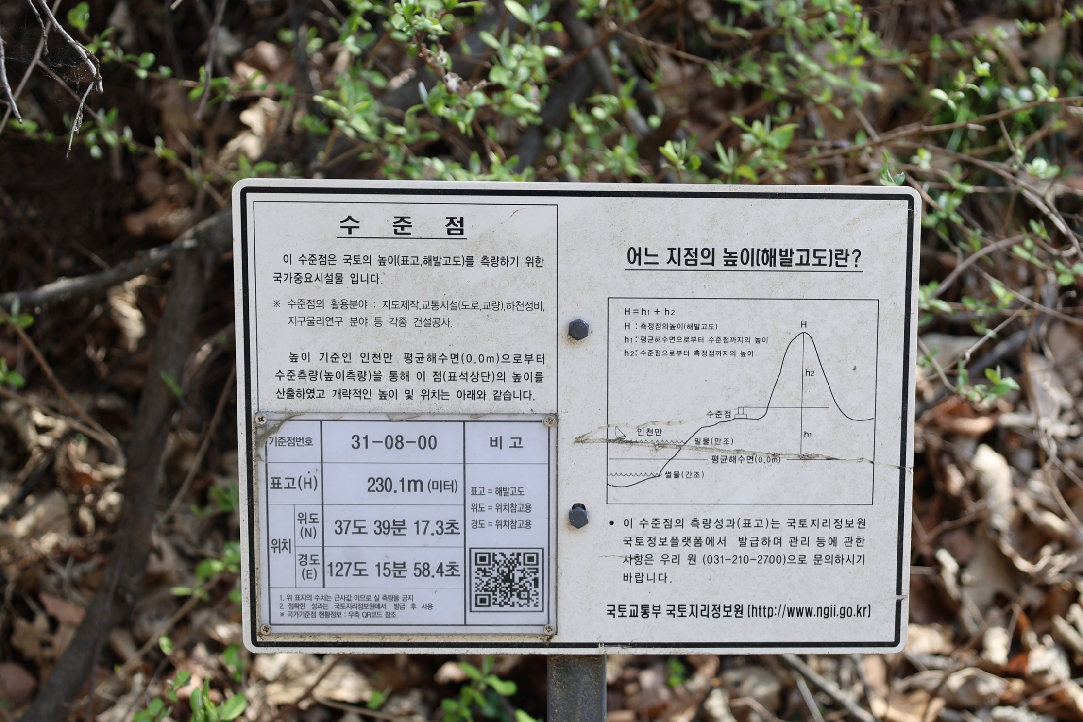 [크기변환]20260412모란봉사사진 (98).jpg