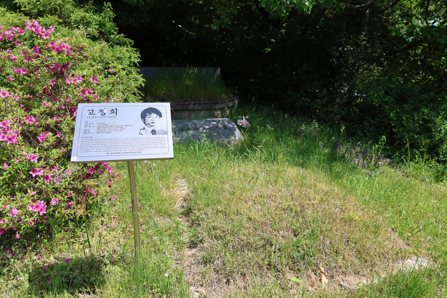 [크기변환]260510모란봉사사진 (45).jpg