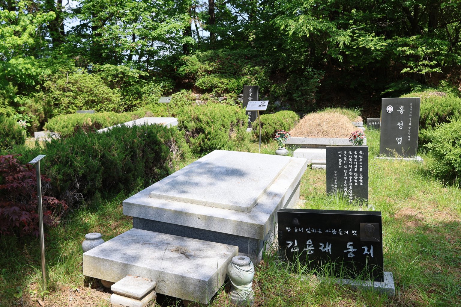 [크기변환]260510모란봉사사진 (49).jpg