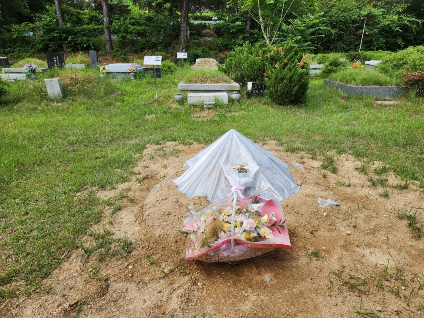 [크기변환]260614모란봉사사진 (34).jpg