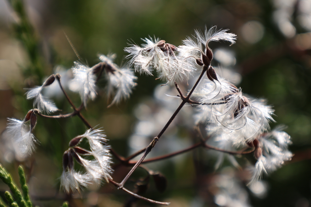 [크기변환]20251109모란봉사사진 (20).jpg