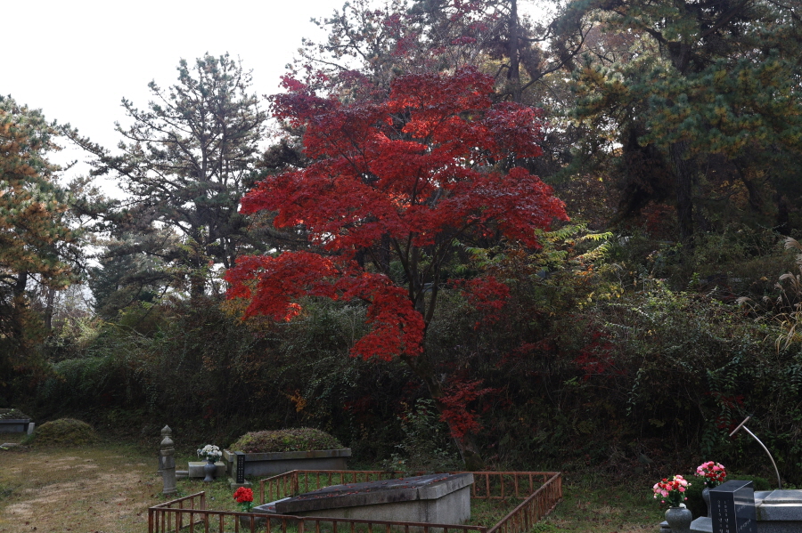 [크기변환]20251109모란봉사사진 (36).jpg