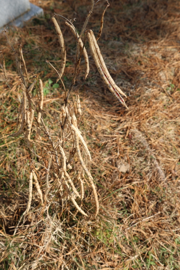 [크기변환]20251109모란봉사사진 (37).jpg