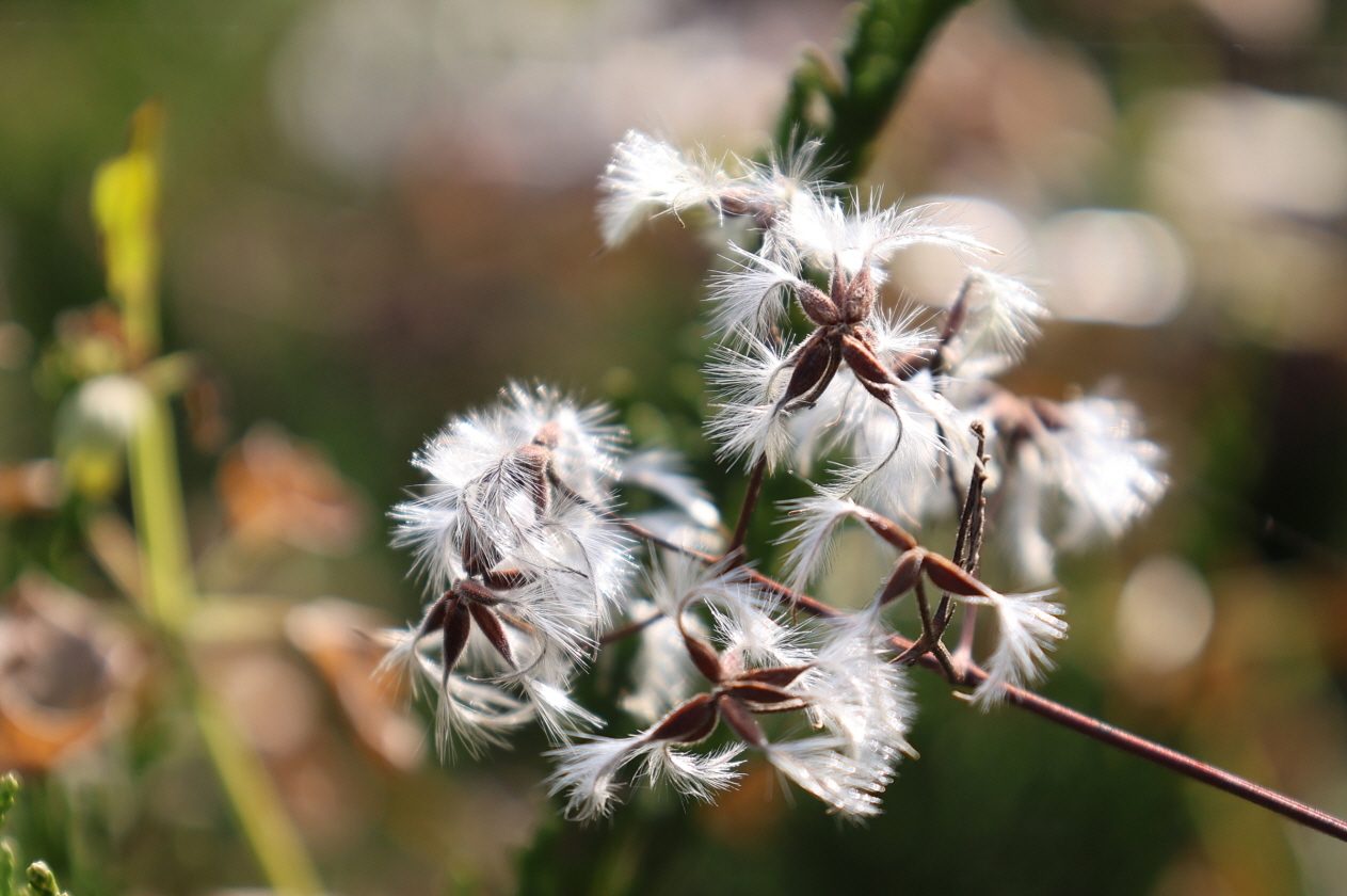 [크기변환]20251109모란봉사사진 (21).jpg