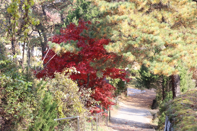 [크기변환]20251109모란봉사사진 (48).jpg