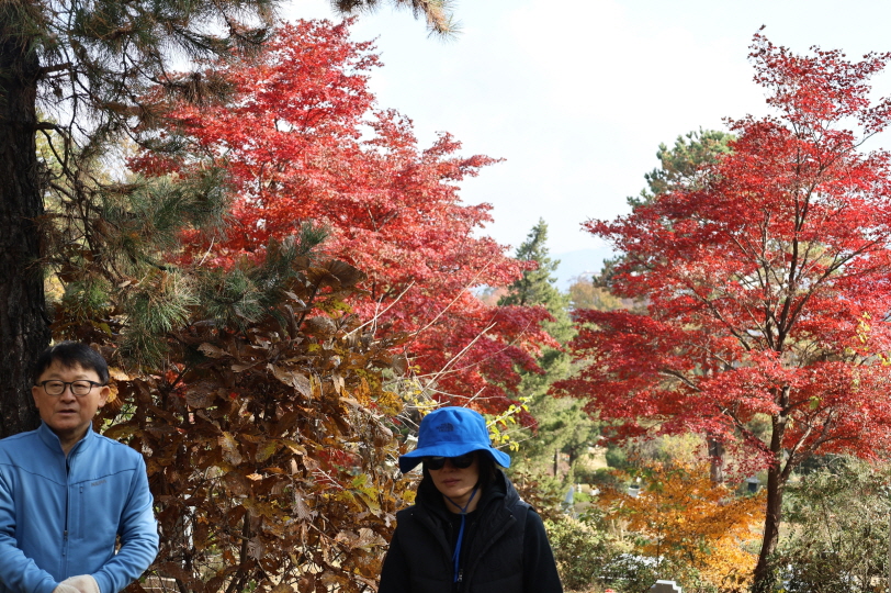 [크기변환]20251109모란봉사사진 (41).jpg