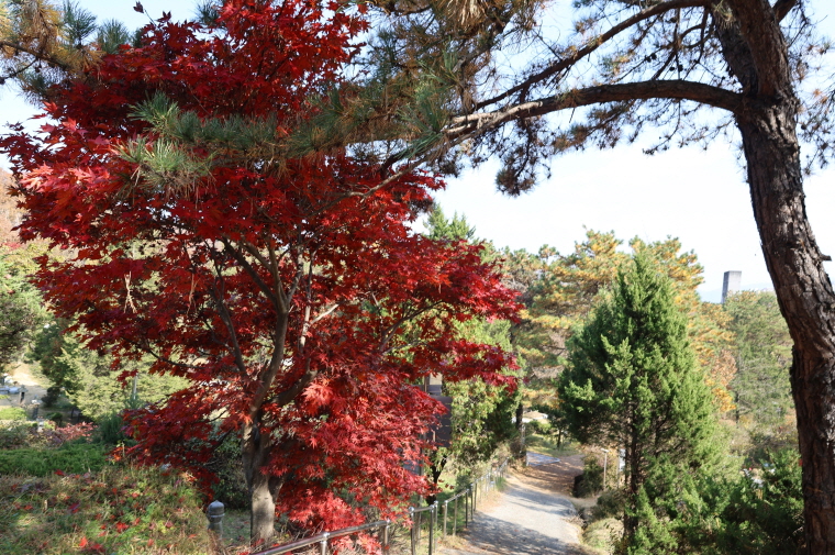 [크기변환]20251109모란봉사사진 (52).jpg