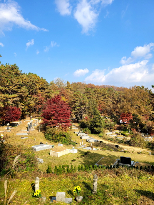 [크기변환]20251109모란봉사사진 (1).jpg