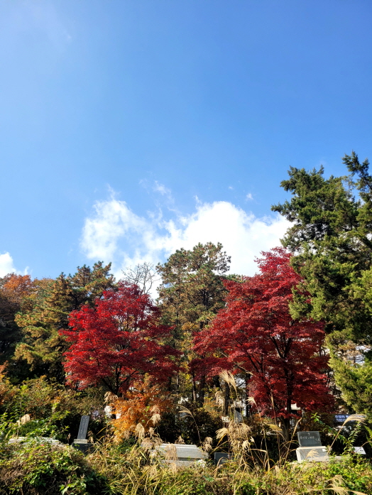 [크기변환]20251109모란봉사사진 (3).jpg