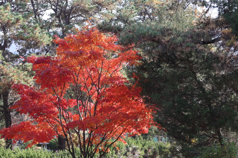 [크기변환]20251109모란봉사사진 (53).jpg